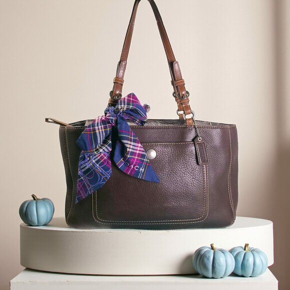 COACH Chelsea East West Tote/ shoulder bag  in brown - Picture 1 of 10